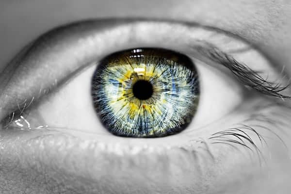 terre d ophatlmo associationdr camille rambaud ophthalmologist paris refractive surgery and cataract