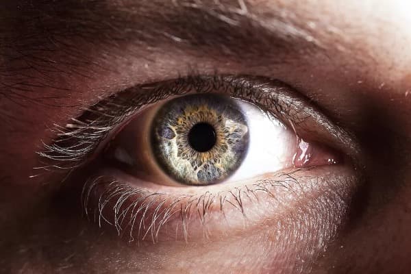 terre d ophatlmo associationdr camille rambaud ophthalmologist paris refractive surgery and cataract